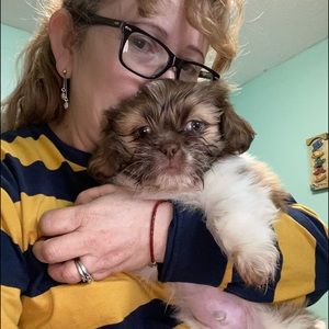 Meet your Posher, Glicenda